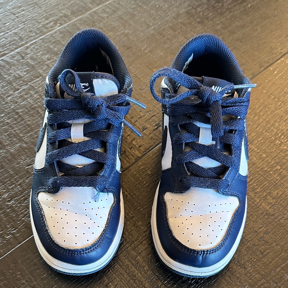 Nike Dunk 1Y